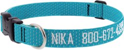 LupinePet Personalized ECO Recycled Tropical Sea Dog Collar, X-Large: 25 to 31-in neck, 1-in wide