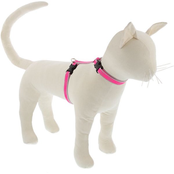 LupinePet Reflective Paws H-Style Cat Harness