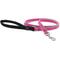 Show in main carousel: LupinePet Reflective Padded Handle Dog Leash, Pink Diamond, Small: 6-ft long, 1/2-in wide slide 1 of 2