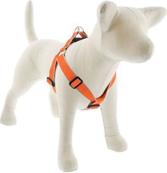 LupinePet Reflective Diamonds Step In Dog Harness, Orange Diamond, Large: 24 to 38-in chest, 1-in wide