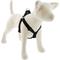 Show in main carousel: LupinePet Basic Solid Step In Dog Harness, Black, Medium: 19 to 28-in chest, 1-in wide slide 1 of 3