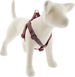 LupinePet Step In Dog Harness, El Paso, Large: 19 to 28-in chest
