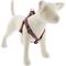 Show in main carousel: LupinePet Step In Dog Harness, El Paso, Large: 24 to 38-in chest slide 1 of 2