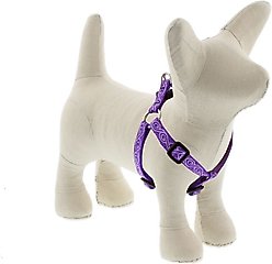 LupinePet Step In Dog Harness, Jelly Roll, Small: 12 to 18-in chest