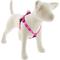 Show in main carousel: LupinePet Step In Dog Harness, Puppy Love, Medium: 20 to 30-in chest slide 1 of 2