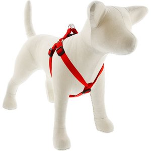 LupinePet Basic Solid Step In Dog Harness, Red, Medium/Large: 20 to 30-in chest