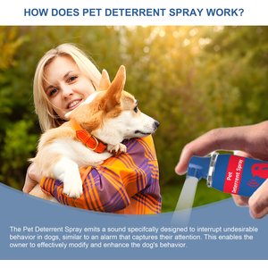 LvLrister Pet Spray Instructor Dog Behavior Detterent Spray, 70-ml bottle, 1 count