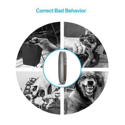 Show full view: LvLrister UB100 Ultrasonic Dog Bark Control Device, Small, Silver Gray slide 8 of 12