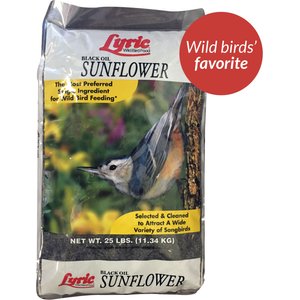 Lyric Black Oil Sunflower Wild Bird Food, 25-lb bag