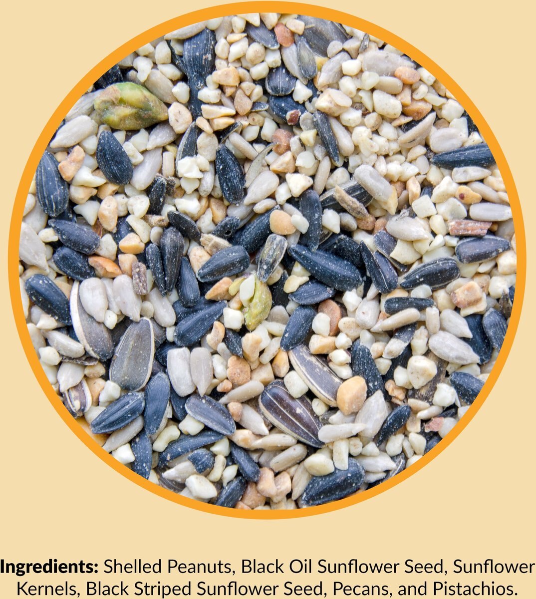 Lyric Chickadee Premium Sunflower & Nut Mix Wild Bird Food