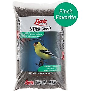 Lyric Nyjer Seed Wild Bird Food, 10-lb bag