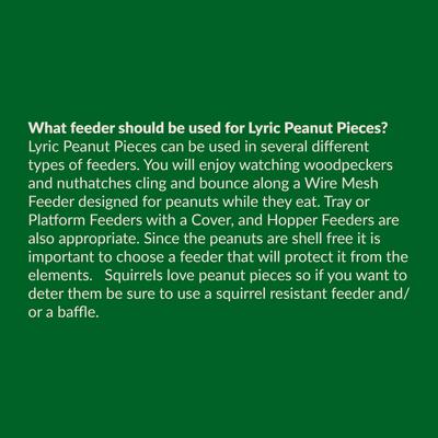 Show full view: Lyric Peanut Pieces Wild Bird Food, 5-lb bag, bundle of 5 slide 6 of 9