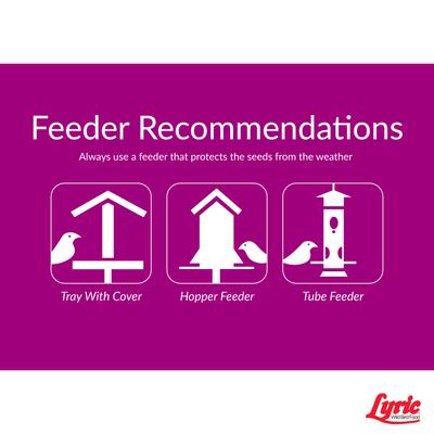 Show full view: Lyric Sunflower Kernels Wild Bird Food, 25-lb bag, bundle of 2 slide 4 of 8