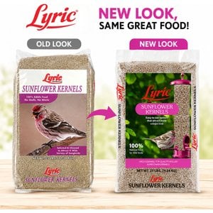 Lyric Sunflower Kernels Wild Bird Food, 25-lb bag