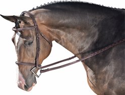 M. Toulouse Annice Hunter Bridle, Chocolate, Full