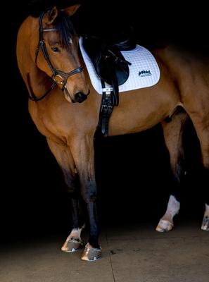 Show full view: M. Toulouse Comfort Crown Dressage Snaffle Bridle, Chocolate, Cob slide 4 of 4