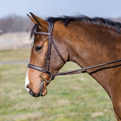 M. Toulouse Comfort Crown Snaffle Bridle, Chocolate, X-Full