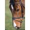 Show in main carousel: M. Toulouse Comfort Crown Snaffle Bridle, Chocolate, X-Full slide 3 of 5