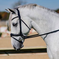 M. Toulouse Elevation Dressage Snaffle Bridle, Chocolate, Cob