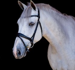 M. Toulouse Elevation Dressage Snaffle Bridle, Chocolate, X-Full slide 2 of 3