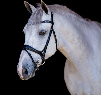 Show full view: M. Toulouse Elevation Dressage Snaffle Bridle, Chocolate, X-Full slide 3 of 3