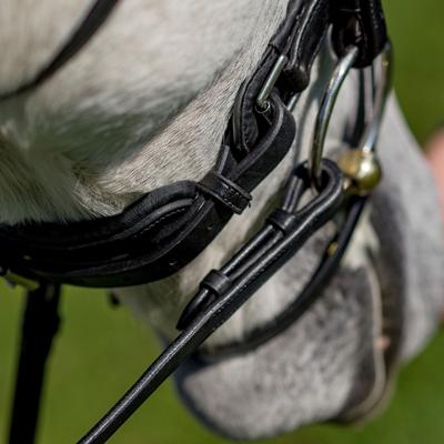 Show full view: M. Toulouse Elevation Dressage Snaffle Bridle, Chocolate, X-Full slide 2 of 3