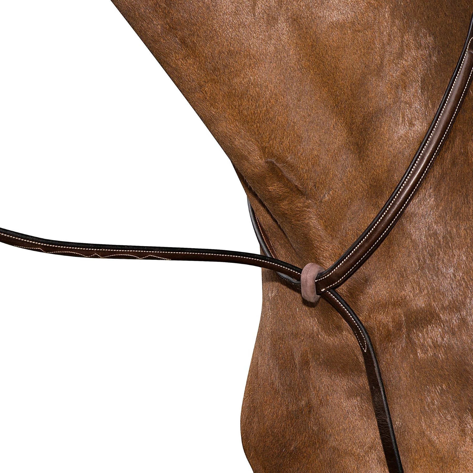 M. Toulouse Fancy Stitched Raised Standing Martingale, Chocolate, Full
