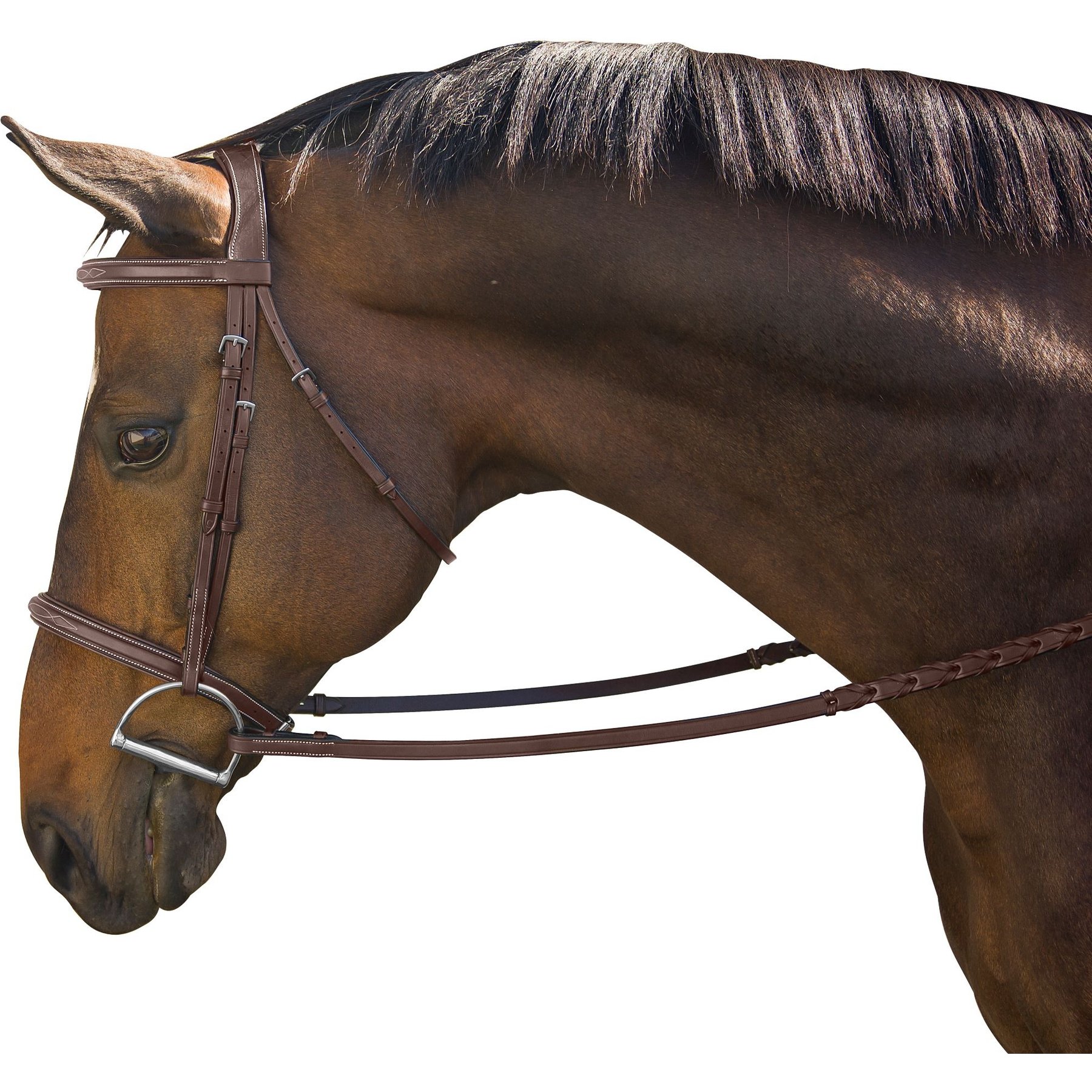 M. Toulouse Liza/Camden Hunter Bridle, Chocolate, Full