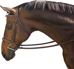 M. Toulouse Liza/Camden Hunter Bridle, Chocolate, X-Full