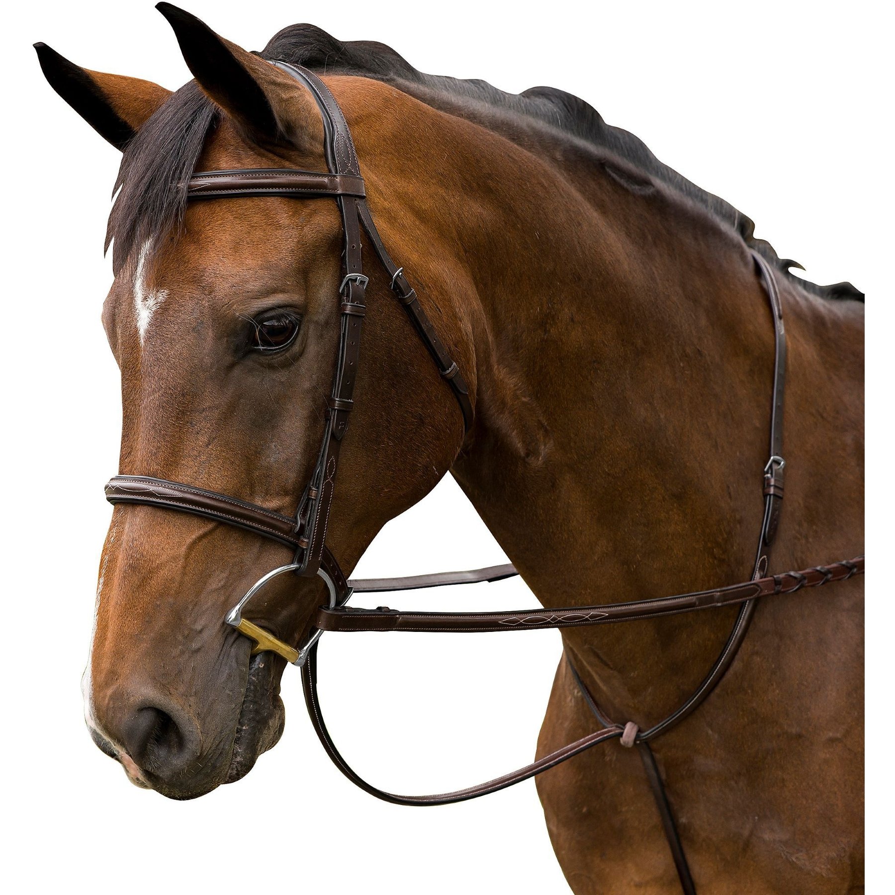 M. Toulouse Novice Hunter Bridle, Chocolate, Cob