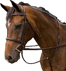 M. Toulouse Novice Hunter Bridle, Chocolate, Full