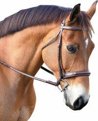 M. Toulouse Platinum Devon Snaffle Hunter Bridle, Chocolate, X-Full