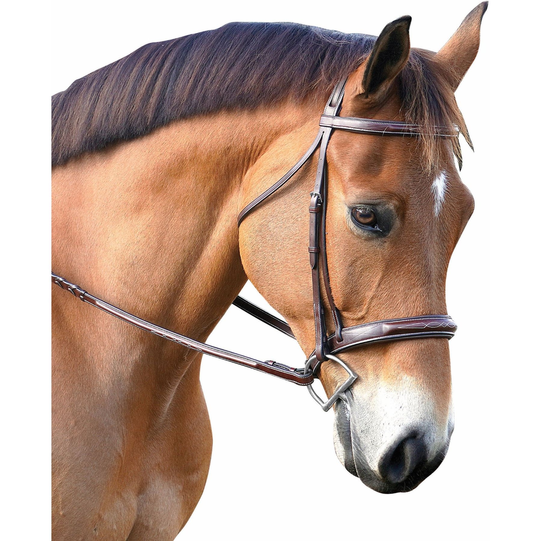 M. Toulouse Platinum Devon Snaffle Hunter Bridle, Chocolate, X-Full