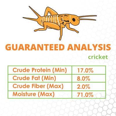 Show full view: Mack's Natural Reptile Food Crickets Live Feed Reptile Food, 1/4-in, 1,000 count slide 6 of 7