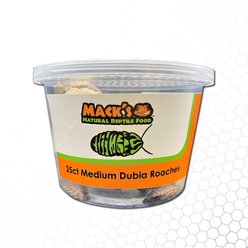 Mack's Natural Reptile Food Dubia Roaches Live Feed Reptile Food, Medium, 1/3 to 1/2-in, 25 count