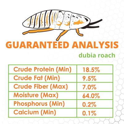 Show full view: Mack's Natural Reptile Food Dubia Roaches Live Feed Reptile Food, Medium, 1/3 to 1/2-in, 500 count slide 5 of 6