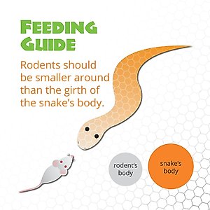 Mack's Natural Reptile Food Fuzzy Mice Frozen Reptile Food, 10 count