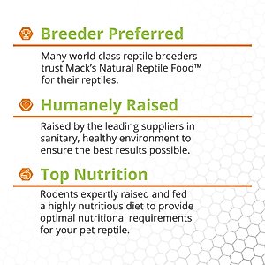 Mack's Natural Reptile Food Fuzzy Mice Frozen Reptile Food, 10 count
