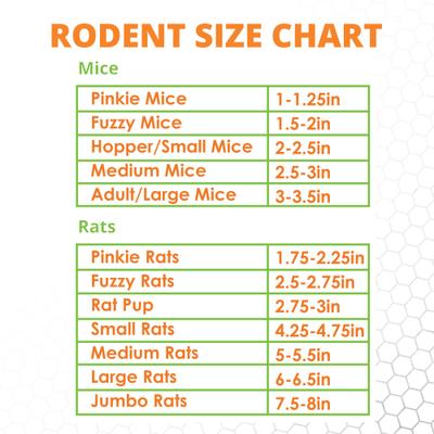 Show full view: Mack's Natural Reptile Food Hopper Mice Frozen Reptile Food, 25 count slide 6 of 7