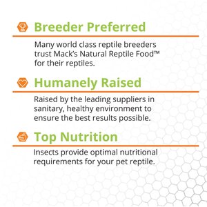 Mack's Natural Reptile Food Hornworm Live Feed Reptile Food, 12 count