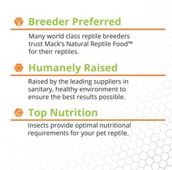 Mack's Natural Reptile Food Large Superworms Live Feed Reptile Food, 250 count slide 2 of 6