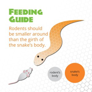 Mack's Natural Reptile Food Pinkie Mice Frozen Reptile Food, 25 count