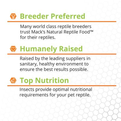 Show full view: Mack's Natural Reptile Food Standard Mealworms Live Feed Reptile Food, 1,000 count slide 5 of 7