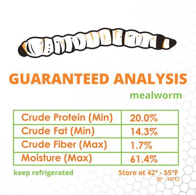 Show full view: Mack's Natural Reptile Food Standard Mealworms Live Feed Reptile Food, 500 count slide 6 of 7
