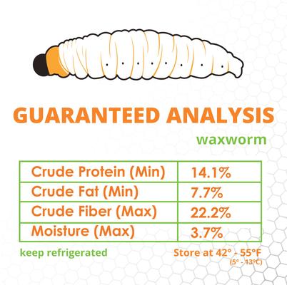 Show full view: Mack's Natural Reptile Food Waxworm Live Feed Reptile Food, 50 count slide 3 of 4