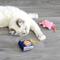 Show in main carousel: Mad Cat Canned Ham Cat Toy with Catnip, Multicolor, 2 count slide 3 of 6