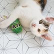 Show in main carousel: Mad Cat Cool Cucumber Catnip & Silvervine Cat Toy slide 4 of 5