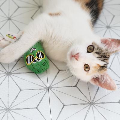 Show full view: Mad Cat Cool Cucumber Catnip & Silvervine Cat Toy slide 4 of 5