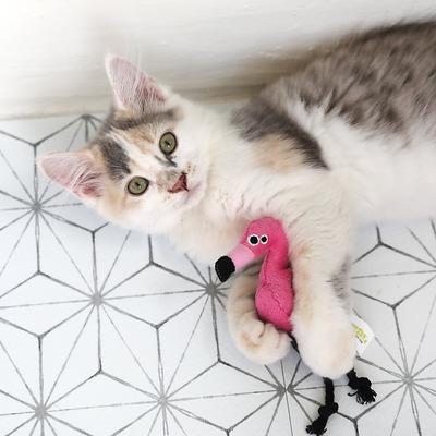 Show full view: Mad Cat Flingin' Flamingo Catnip & Silvervine Cat Toy slide 3 of 8