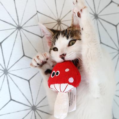 Show full view: Mad Cat Magic Meowshroom Catnip & Silvervine Cat Toy slide 6 of 7